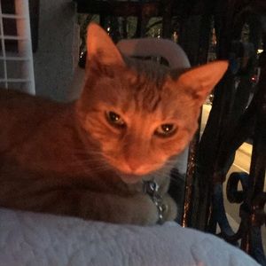 Meet your Posher, Isabelle